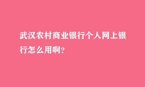 武汉农村商业银行个人网上银行怎么用啊？