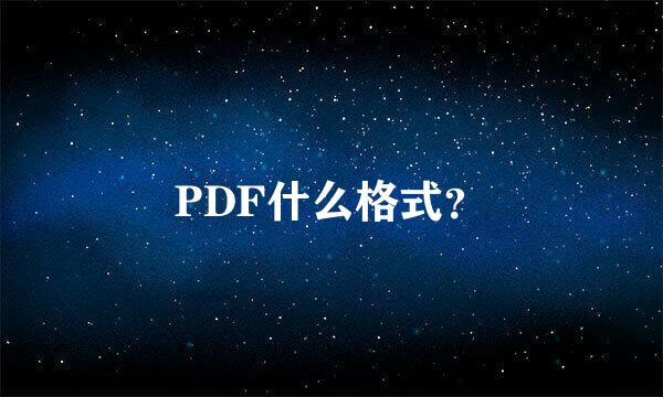 PDF什么格式？