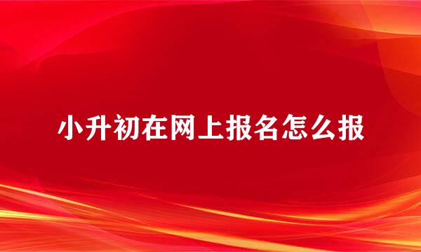 小升初在网上报名怎么报