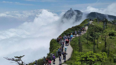 四川峨眉山门票