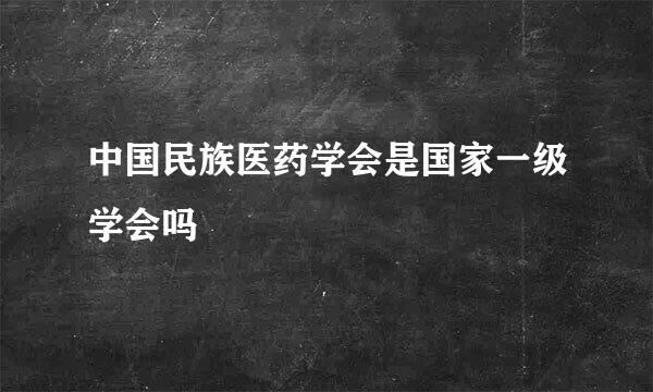 中国民族医药学会是国家一级学会吗