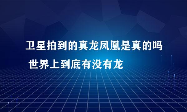 卫星拍到的真龙凤凰是真的吗 世界上到底有没有龙