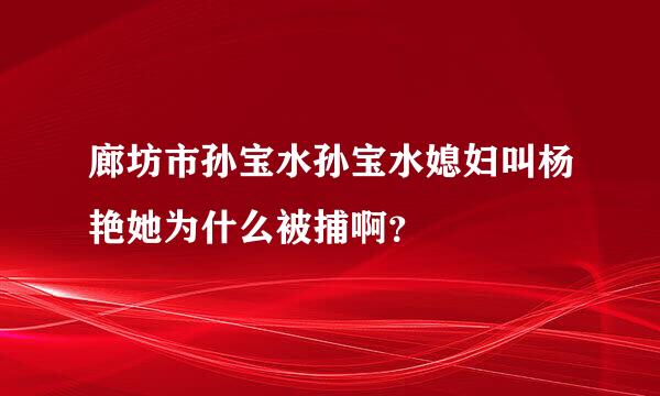 廊坊市孙宝水孙宝水媳妇叫杨艳她为什么被捕啊？