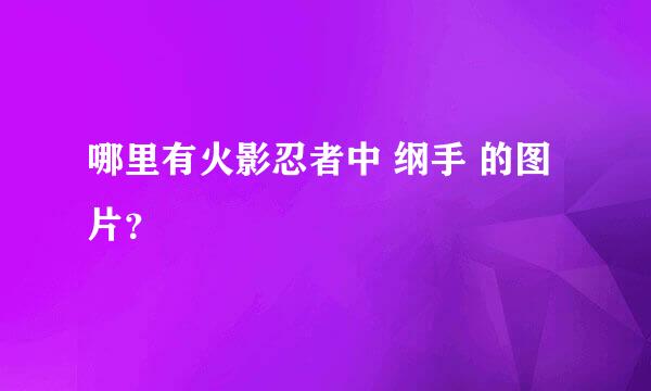 哪里有火影忍者中 纲手 的图片？