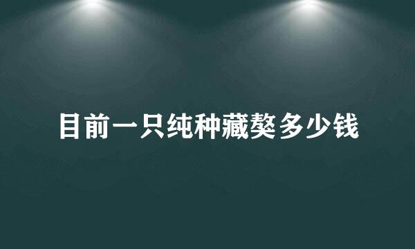 目前一只纯种藏獒多少钱