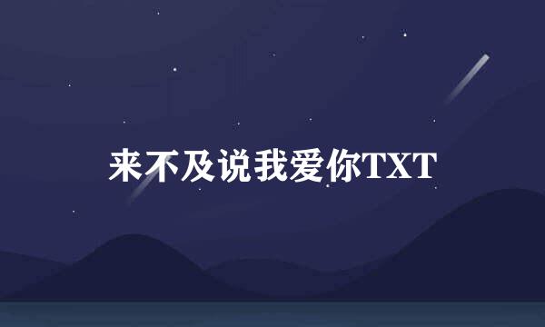 来不及说我爱你TXT