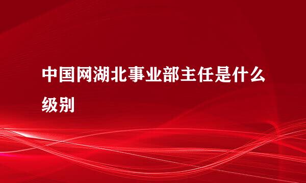 中国网湖北事业部主任是什么级别