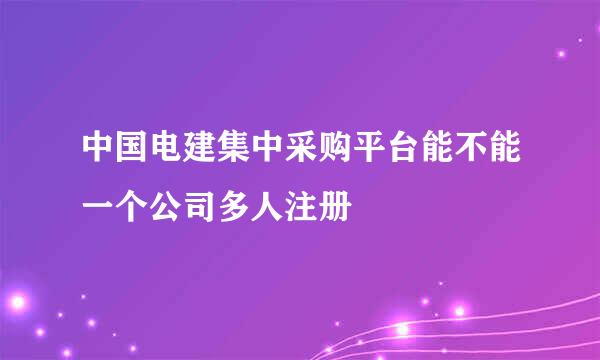 中国电建集中采购平台能不能一个公司多人注册