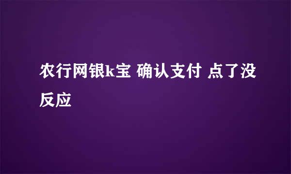 农行网银k宝 确认支付 点了没反应