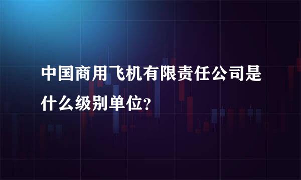 中国商用飞机有限责任公司是什么级别单位？