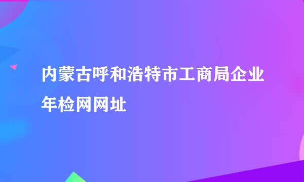 内蒙古呼和浩特市工商局企业年检网网址