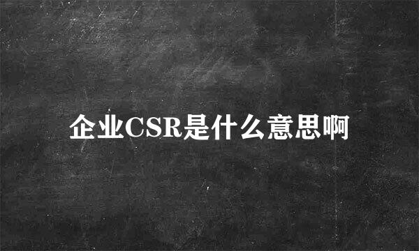 企业CSR是什么意思啊