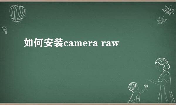 如何安装camera raw