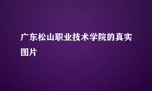 广东松山职业技术学院的真实图片