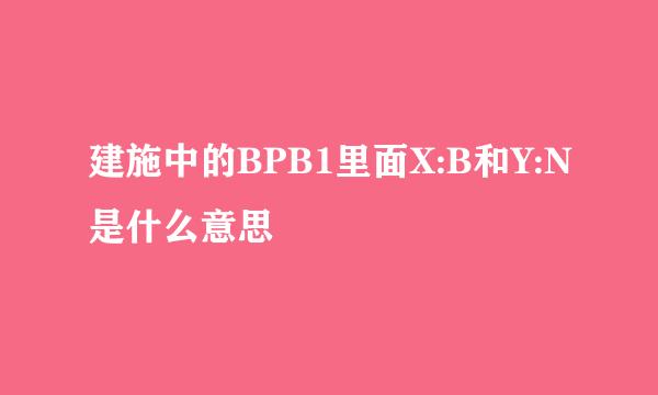 建施中的BPB1里面X:B和Y:N是什么意思