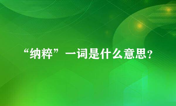 “纳粹”一词是什么意思？