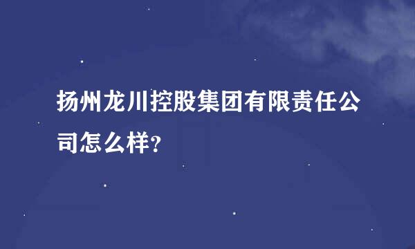 扬州龙川控股集团有限责任公司怎么样？