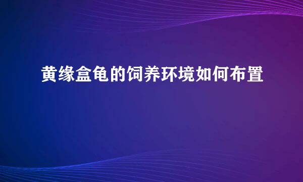 黄缘盒龟的饲养环境如何布置