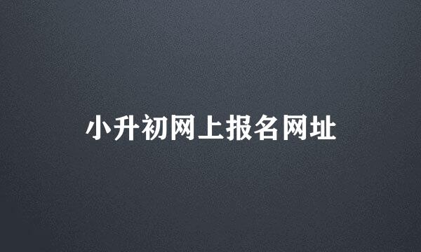 小升初网上报名网址