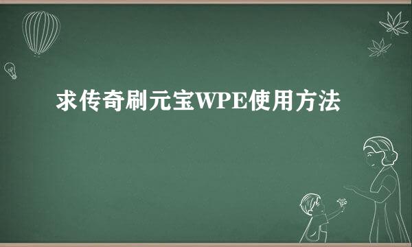 求传奇刷元宝WPE使用方法