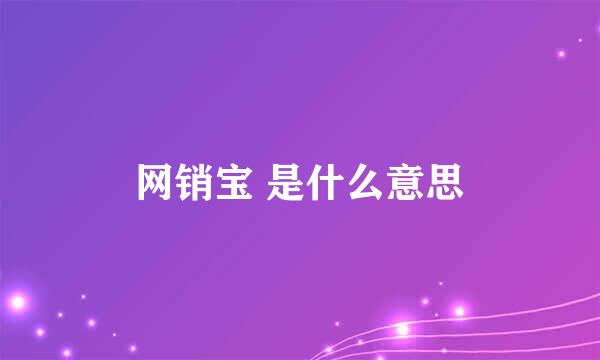 网销宝 是什么意思