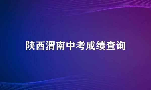 陕西渭南中考成绩查询