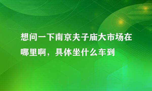 想问一下南京夫子庙大市场在哪里啊，具体坐什么车到