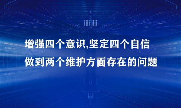 增强四个意识,坚定四个自信做到两个维护方面存在的问题