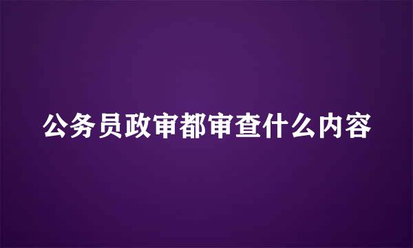 公务员政审都审查什么内容