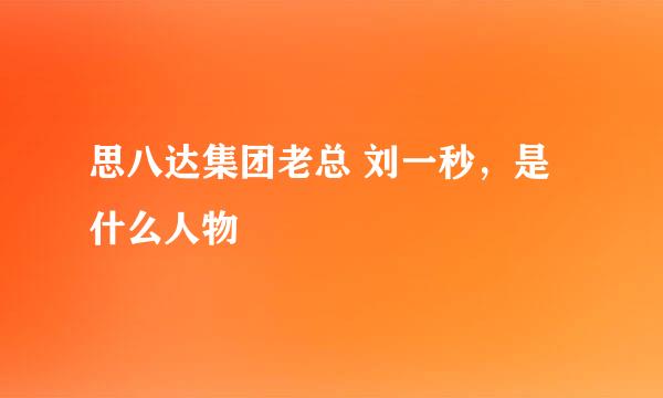 思八达集团老总 刘一秒，是什么人物