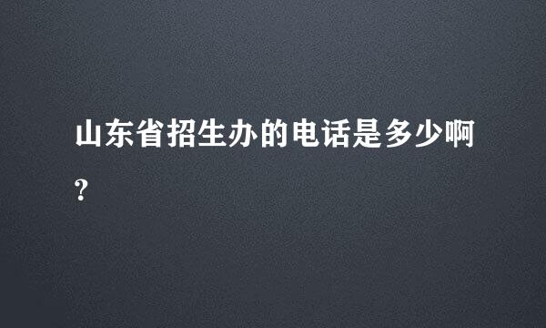 山东省招生办的电话是多少啊？