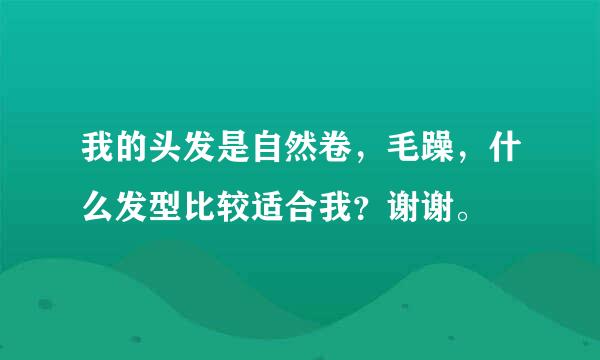 我的头发是自然卷，毛躁，什么发型比较适合我？谢谢。