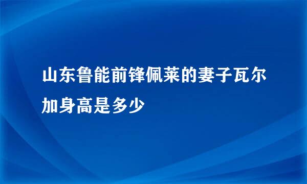 山东鲁能前锋佩莱的妻子瓦尔加身高是多少