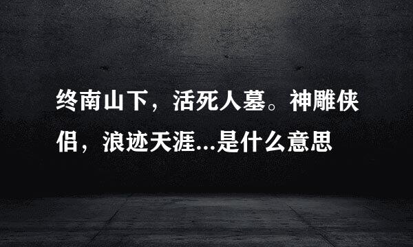 终南山下，活死人墓。神雕侠侣，浪迹天涯...是什么意思