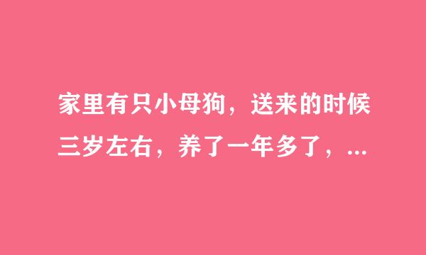 家里有只小母狗，送来的时候三岁左右，养了一年多了，在我家这一年多没来大姨妈，正常吗