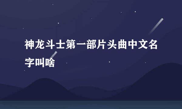 神龙斗士第一部片头曲中文名字叫啥