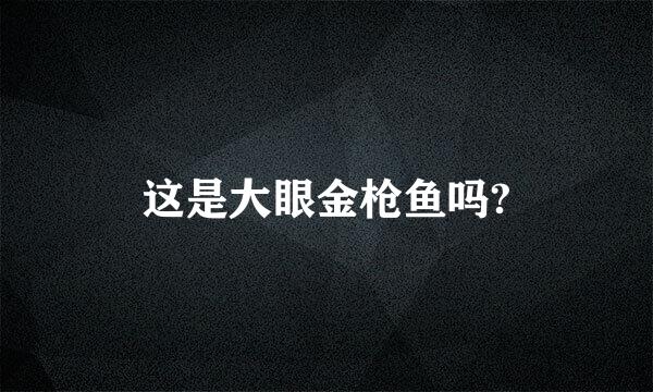 这是大眼金枪鱼吗?