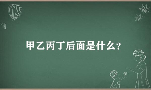 甲乙丙丁后面是什么？