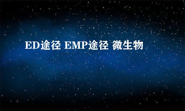 ED途径 EMP途径 微生物