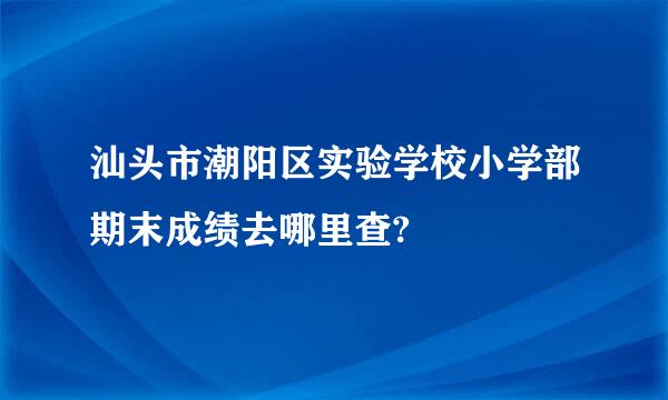 汕头市潮阳区实验学校小学部期末成绩去哪里查?