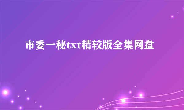 市委一秘txt精较版全集网盘