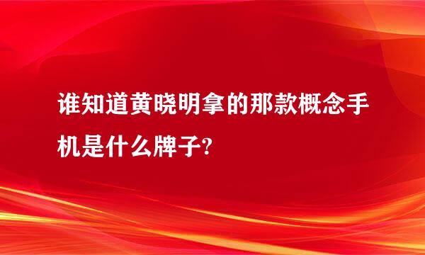 谁知道黄晓明拿的那款概念手机是什么牌子?