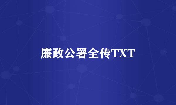 廉政公署全传TXT