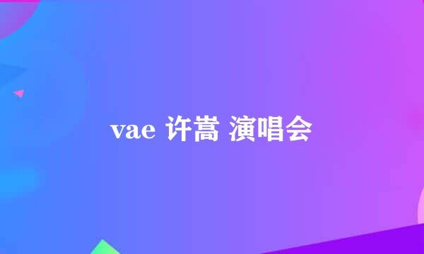 vae 许嵩 演唱会