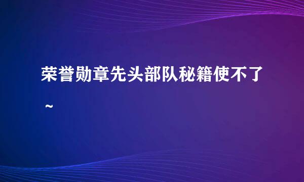 荣誉勋章先头部队秘籍使不了～