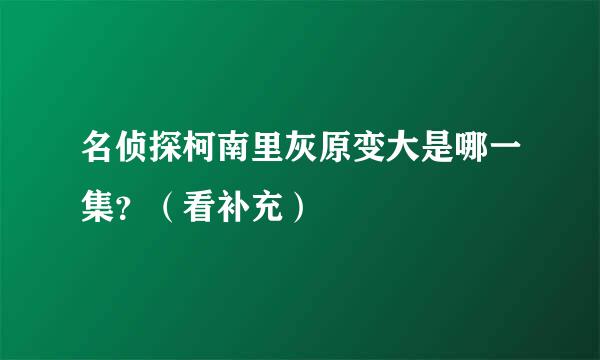 名侦探柯南里灰原变大是哪一集？（看补充）