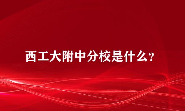 西工大附中分校是什么？