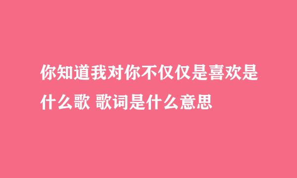 你知道我对你不仅仅是喜欢是什么歌 歌词是什么意思