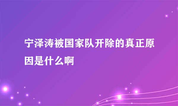 宁泽涛被国家队开除的真正原因是什么啊