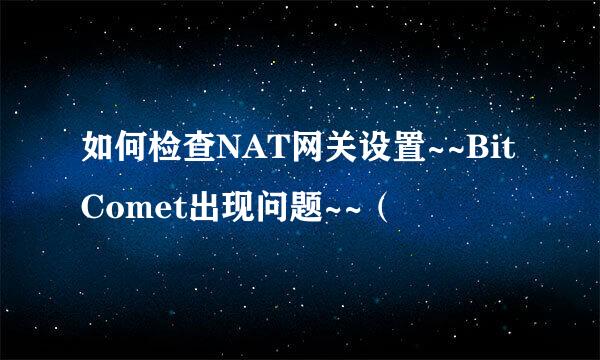 如何检查NAT网关设置~~BitComet出现问题~~（